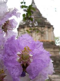 Temple de Chiang Mai