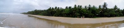 Mission beach - Queensland
